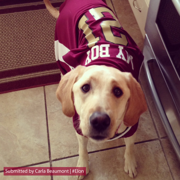 elonuniversity's tweet photo. More #Elon puppies for National Puppy Day! How about @ElonMensHoops' Ryley Beaumont's biggest fan? http://t.co/WUSHlzKaOg