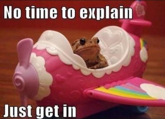 “@squashandfly: ” <a href="/Sherrie2507/">Sherrie Mulgrew</a> 🙈