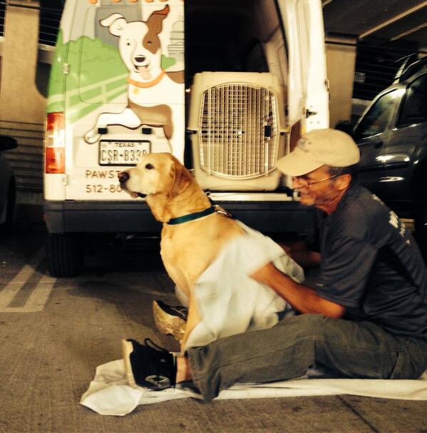 The Pawstin Post Swim Premium Pat Down. This ain't no TSA pat down.