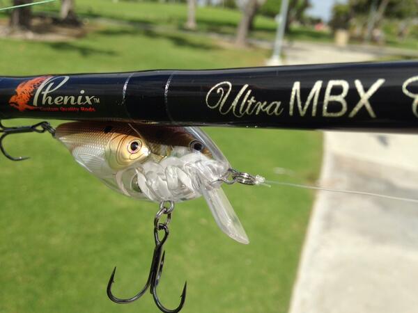 TsFishman's tweet image. 