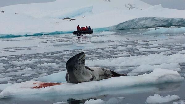 Iceberg graveyard.....end of summer in Antarctica @2041robswan