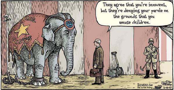 peta's tweet photo. #BoycottTheCircus it's not worth the ABUSE.... 

RT if you AGREE! http://t.co/SPav0ePIkv http://t.co/LuNc7WYhuM