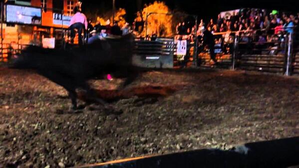 Buffalo Chip Saloon tweet media