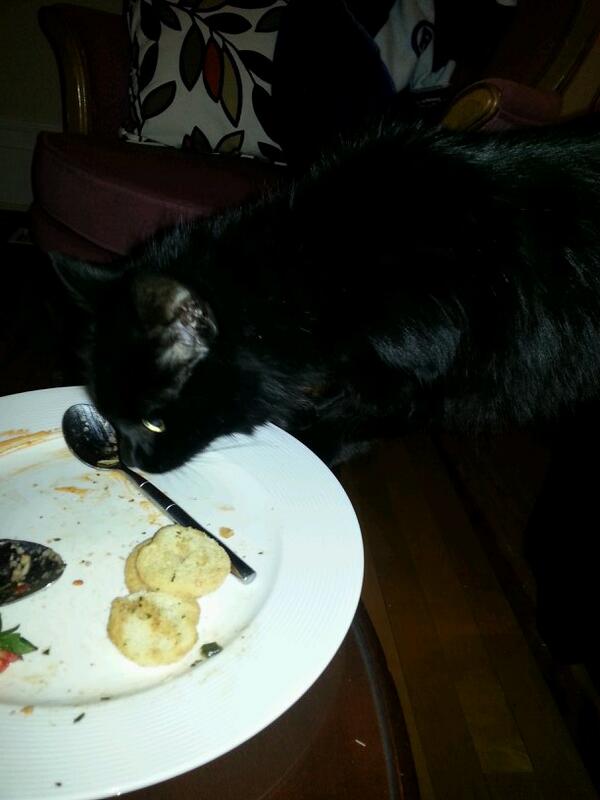 rachelleanne83's tweet photo. @NicoleDevanney Mabs even helped herself to leftovers! http://t.co/hXLGSFBldt