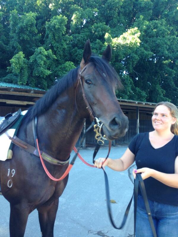 BelllleHoward's tweet photo. Good luck at @rosehillgardens today Dimey @DiamondOasis1 #sceneofthecrime haven't forgotten about ya buddy #favourite http://t.co/J32ADcHbkr