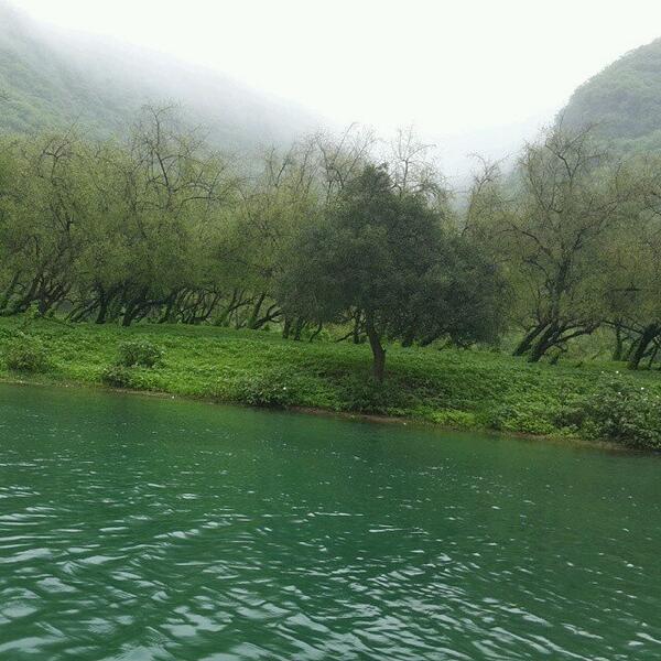 SALALH_CITY's tweet photo. 4)

 ذكريات  #خريف_صلالة 2013!

( #عمان #صلالة #غرد_بصورة #خريف_صلالة )! http://t.co/eL2g716XkT