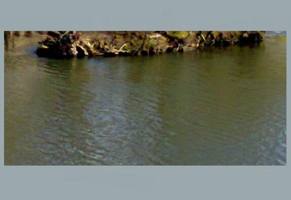 novitiak tweet media