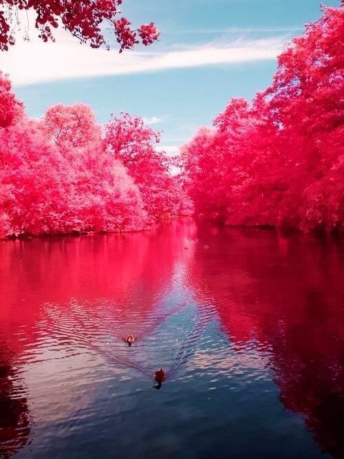 Cherry River, West Virginia