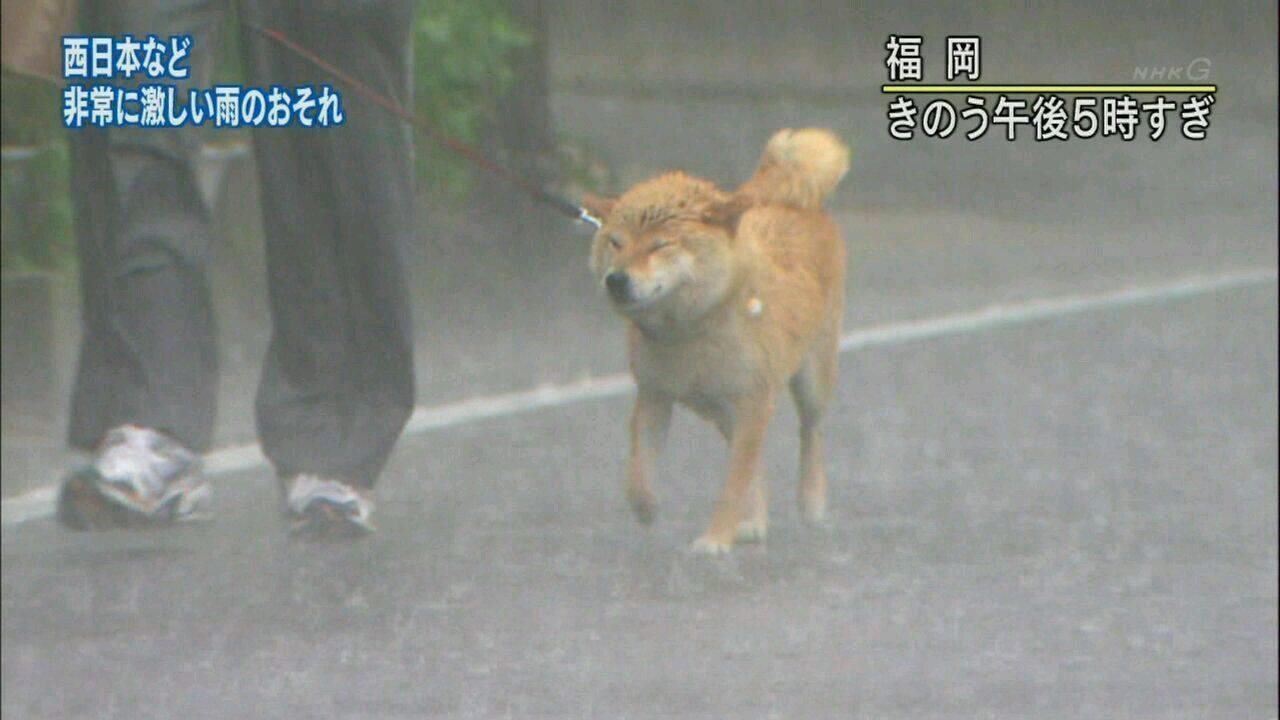 See Admiral Is S Tweet On Mar 22 14 Twitter