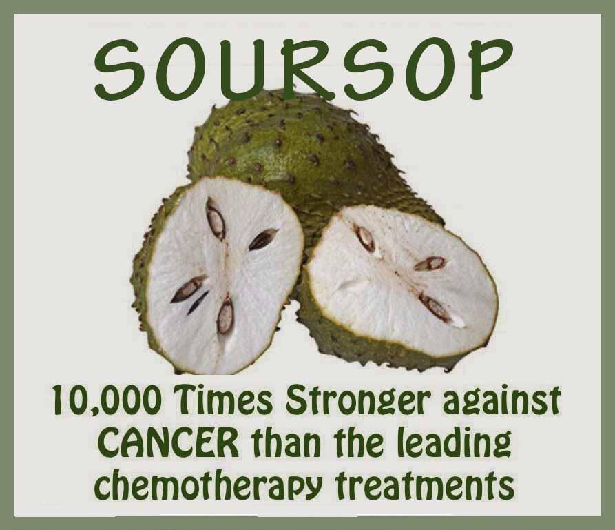 Daily Health Tips Soursop Graviola Is A Strong Anti Cancer Fruit See What Our Doctors Say Http T Co 1m0i0p9fwq Http T Co F9iiy5wipj