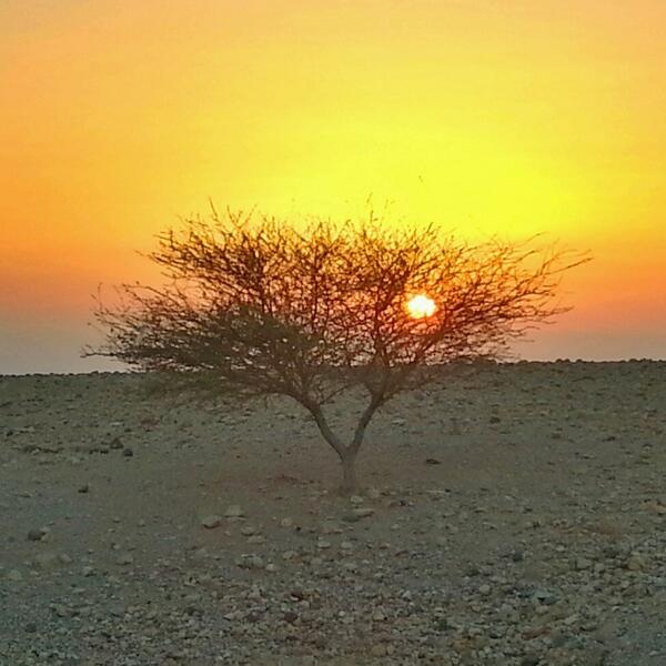 GoSeeWrite's tweet photo. Wonderful hospitality at @FeynanEcolodge the last 24 hours. Such a magical place. #shareyourjordan http://t.co/3kA1H9e7wv