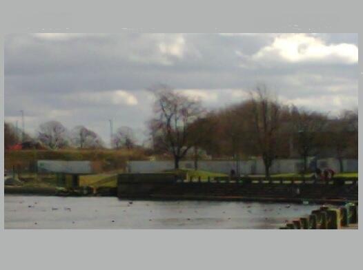 Helping General tweet media