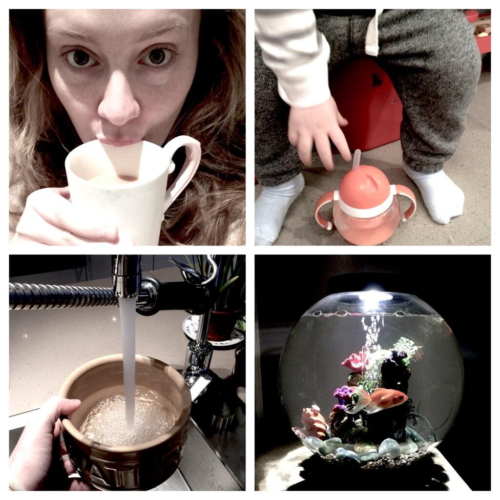 Embedded image permalink