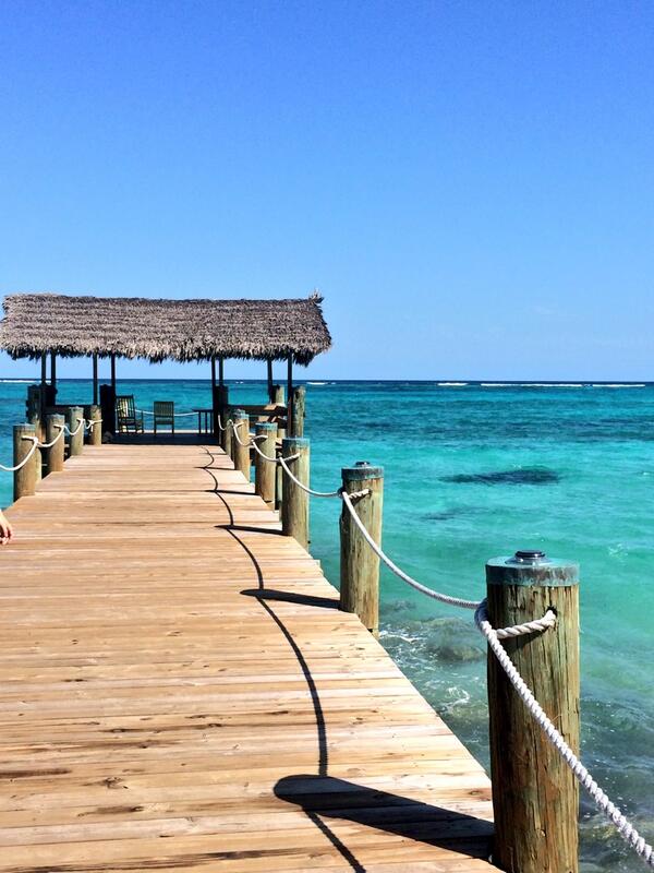 liana5678's tweet image. #CompassPoint 🐢🐢☀️ @kelsey_manes