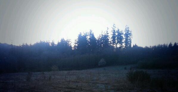 JDGuth1986's tweet photo. Luke 5:16 "Jesus often withdrew to desolate places to pray." http://t.co/Wupq6srDha