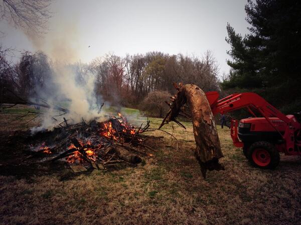 newrivertweets's tweet photo. Clearing the back property! #workday http://t.co/YU4y5iAoWv