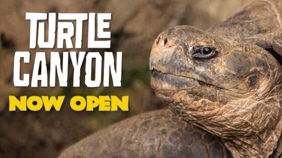 NewportAquarium's tweet photo. Today's the day! #TurtleCanyon opens to the public at 10 a.m. http://t.co/7iHXH5zUVZ