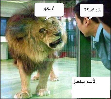 nom_sp tweet picture