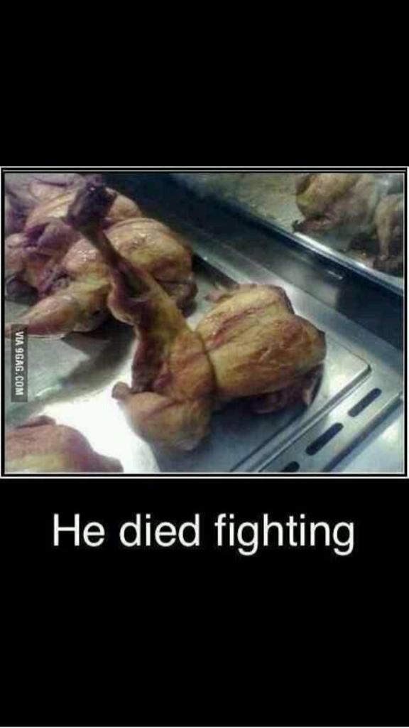 Anchr_Man67's tweet photo. Tough little hen #chicken http://t.co/RL8Fangdw9