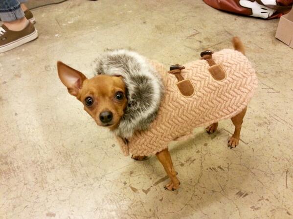 phonyaim's tweet image. 