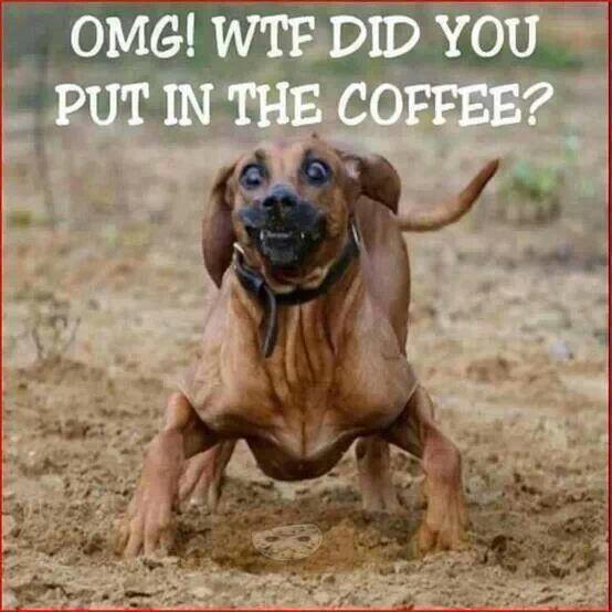 Smyth94ever's tweet photo. Full of piss &amp; vinegar today, I am. #GoodJava :D http://t.co/l5axY5vHQ6