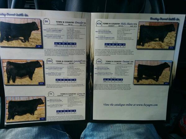 GeiselJohn's tweet image. Look at the names of these #champion bulls @WestonDressler7 @ChrisGetzlaf @geroysimon @Sheets24K @dariandurant