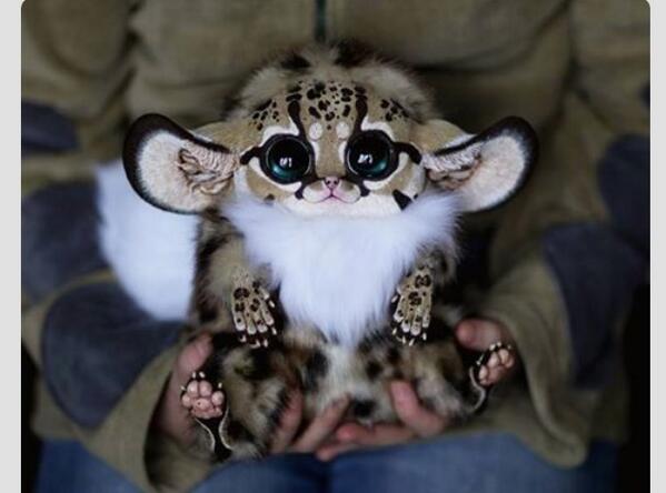 AlwaysAnimal's tweet image. Not sure what it is but I want it