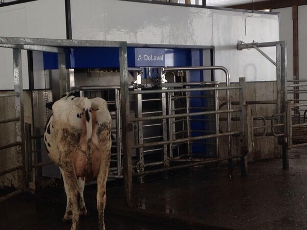 mccows's tweet photo. The new @delavalcanada vms robot at Maple Dale farms in Iroquois Ontario. Brand new http://t.co/OH2hEQIpLk