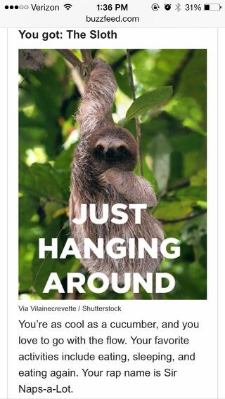 KneadyBitch's tweet image. According to @buzzfeed my spirit animal is a sloth...I don't think it could be anymore accurate. #SlothOn