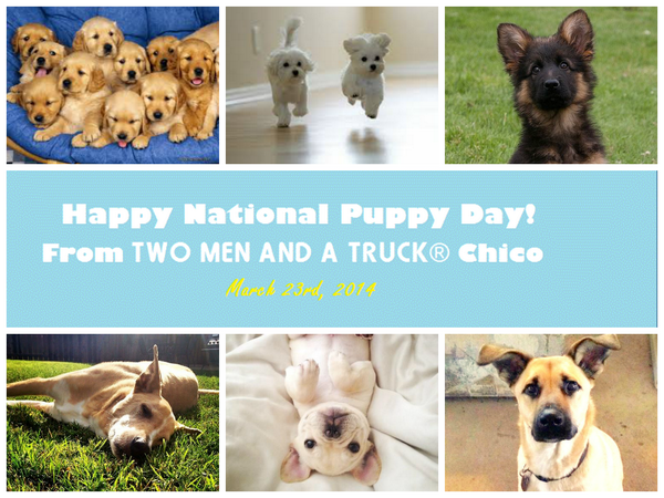 Tomorrow is National Puppy Day, dedicated to celebrating our special friends!
#nationalpuppyday