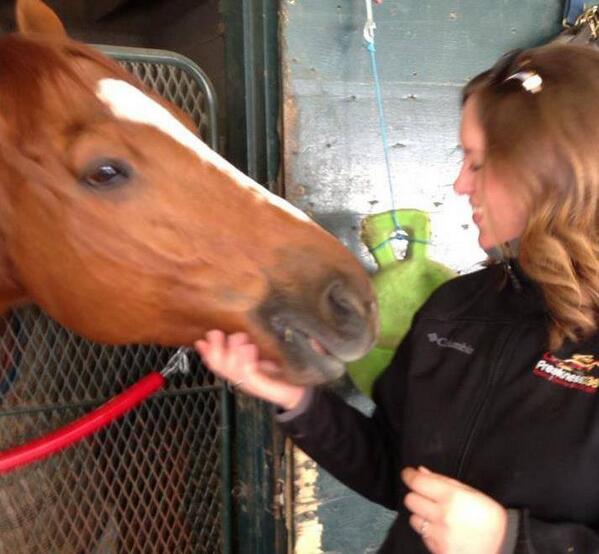 MrsClaireCrosby's tweet image. Why I do what I do, and the best part of my job. #FullStoryPETA #lovethehorses #WiseDan #HOY