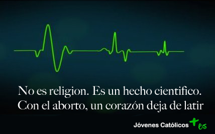 catolicos_es's tweet photo. Digan lo que digan, abortar es matar. Vida Sí, Aborto NO. http://t.co/RkC1GsFb7O