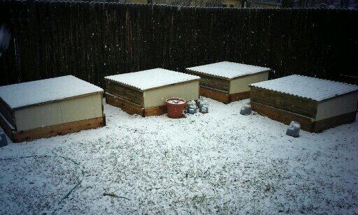 PikesPeakCrafts's tweet image. Installed my #coldframes yesterday and was just in the nick of time!