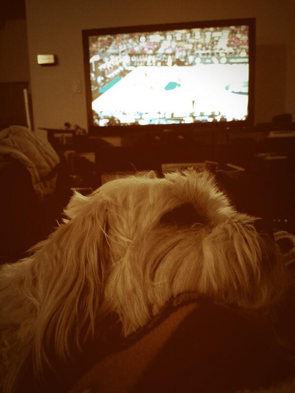 TheBigMurphy's tweet photo. #MarchMadness has made me tired. Time for a nap... http://t.co/EEguJM2a3p