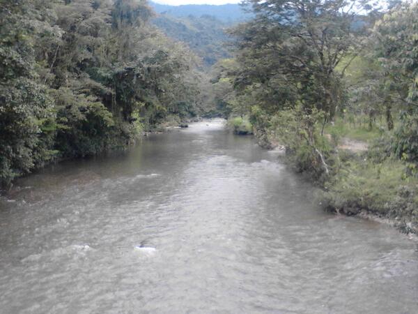 DjmcaalchMario's tweet image. 