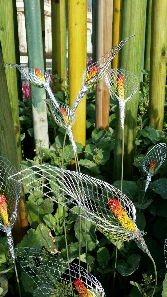 아직 꽃은 않지만 유채 사이에도 배치해봤구요.