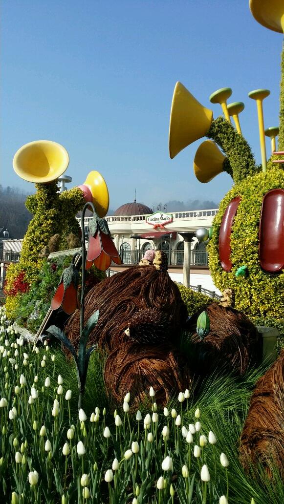 몽땅 다 보여드리면 안오시려나? 그럴리 없겠죠? 아무리 사진이 좋아도 꽃의 아름다움을 표현하긴 역부족이죠? 마지막 입니다. 뮤직박스 토피어리를 배경으로 잘 살펴 보시면 디테일한 즐거움을 찾으실수 있습니다.