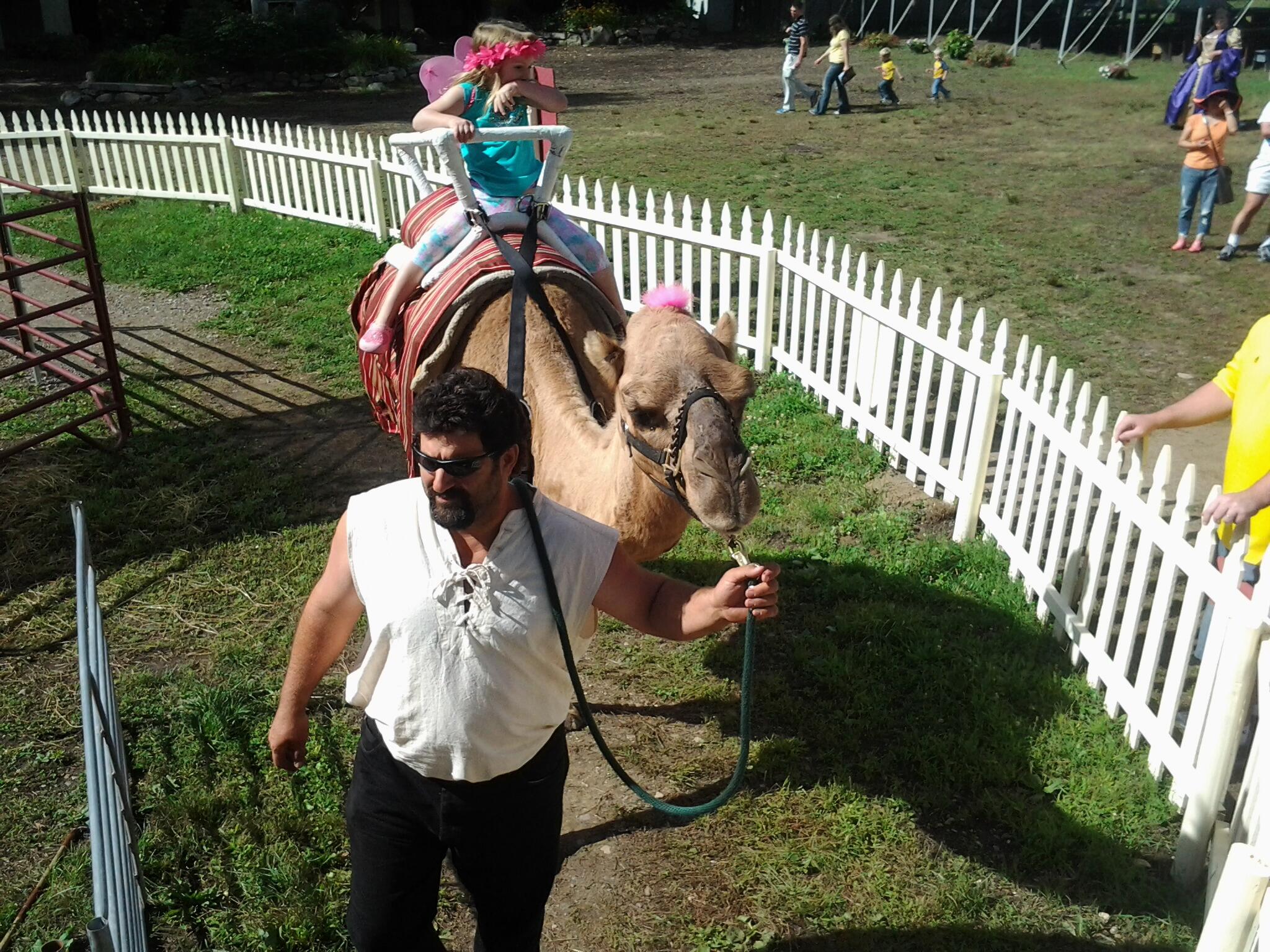 Peggy Evola (PeggyEvola1) / Twitter