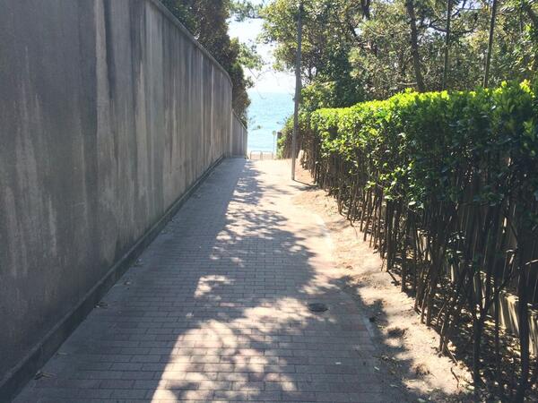 Bluemoon Hayama 葉山は 春の陽射しです 一色海岸へつながる細道 この道を抜ければ ブルームーン 今夏は7月5日からスタートです B Http T Co Stuvffetj1 Bluemoon Hayama 葉山は 春の陽射しです 一色海岸へつながる細道 この道を抜ければ ブルームーン 今夏は7月5日からスタートです B Http T Co Stuvffetj1