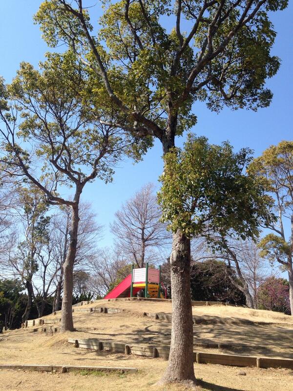 a7181's tweet photo. 風は強いけど、暖かい http://t.co/qfDdTcKlU2