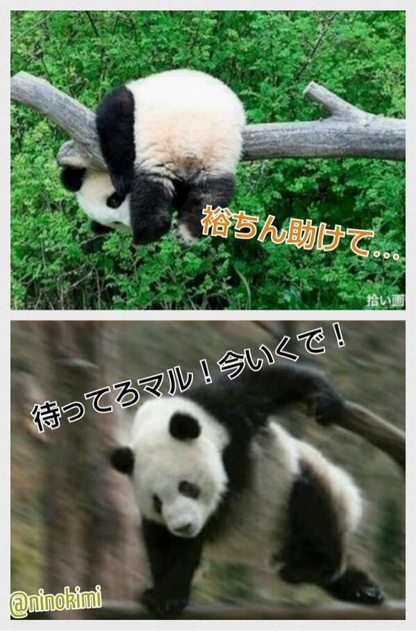 eighter_net's tweet photo. これ見た瞬間吹いた(笑)  ⚠︎拾い画 http://t.co/6maZEOikoL