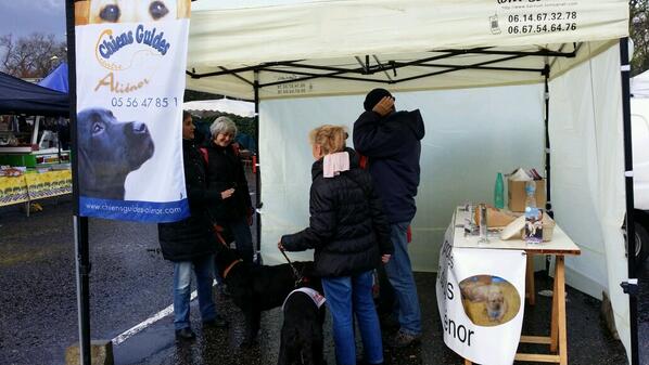 EcoleAlienor's tweet photo. Nous#y#sommes#Talence# marché. 
http://t.co/pMZ2CE9TaU http://t.co/DtQc4IHInM