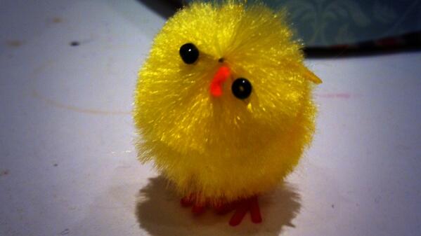MathildeLRD's tweet photo. Ce poussin est laid http://t.co/CrQdi3LKzd