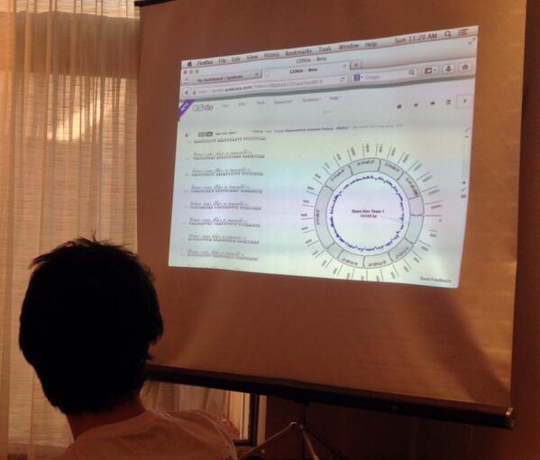 Synbiota's tweet image. @pantslakz 14,480bp plasmid in @GENtleDNA. Built in 1 night w @Genomikon's "Violacein Factory" kit at #ScienceHack.