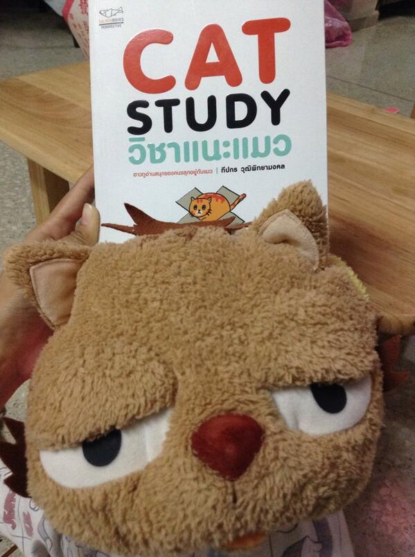 jay_j_a_y's tweet image. ที่บ้านไม่ให้เลี้ยงแมวมีแค่ตุ๊กตาแมว(หน้าตากวน) แต่อ่านแล้วรักแมวมากกว่าเดิม #catstudy