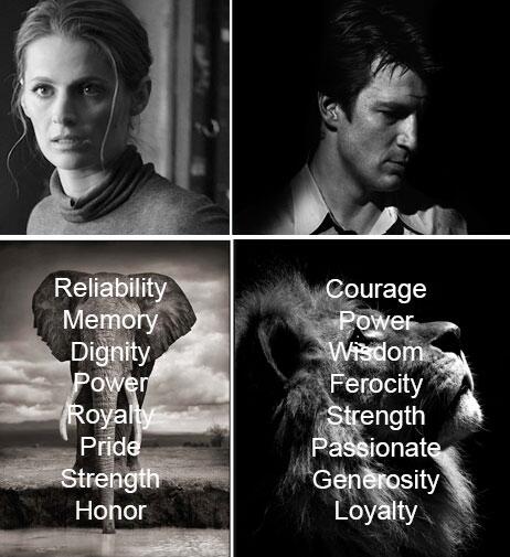 komosa69's tweet photo. "@Castillionism: Kate Beckett and Richard Castle.

        (Elephant and Lion) http://t.co/2qdMIYgT4F"