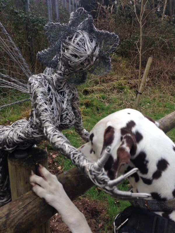willvalley31's tweet photo. Harley meets the fairies today @TrenthamEstate http://t.co/wGhJUzUceM