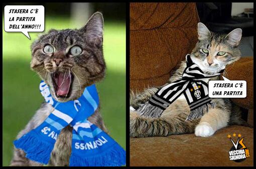 Bj_hkPZCIAIOX_P.jpg:large