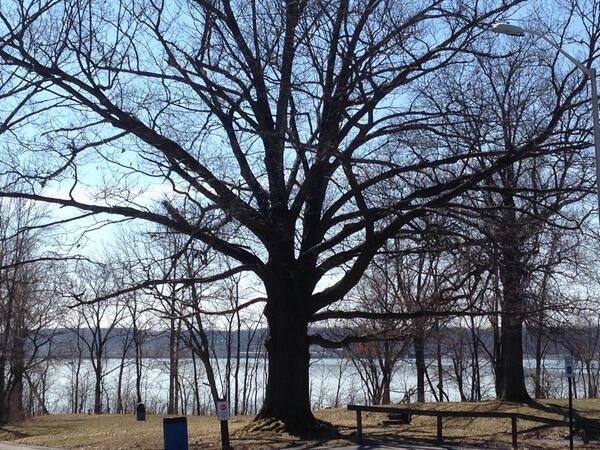 DCausemaker's tweet image. Finally a warmer sunny day to run in Indy