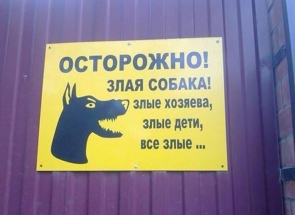 Василий Якеменко tweet media